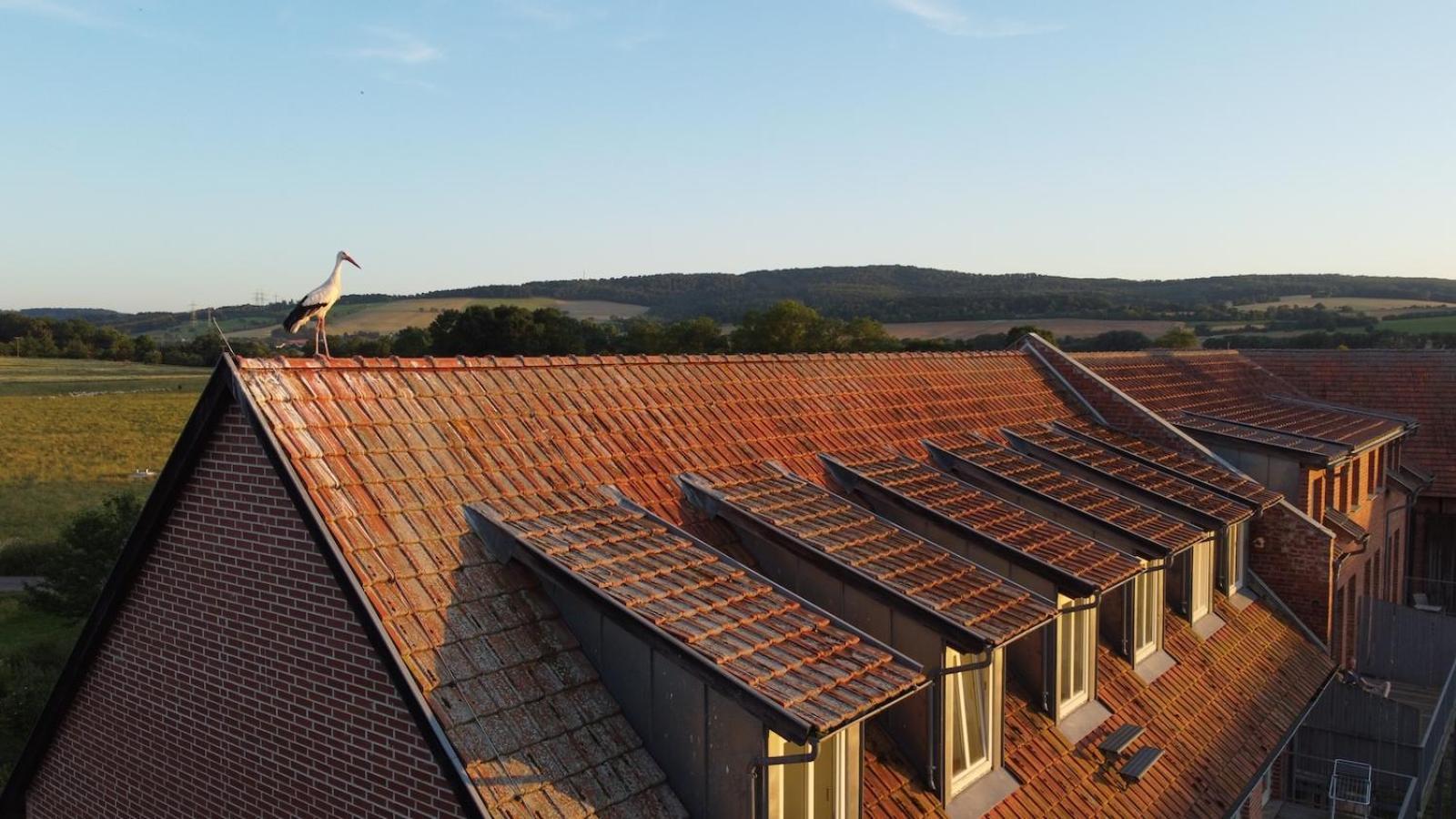 Biohotel Stiftsgut Wilhelmsgluecksbrunn Creuzburg Экстерьер фото